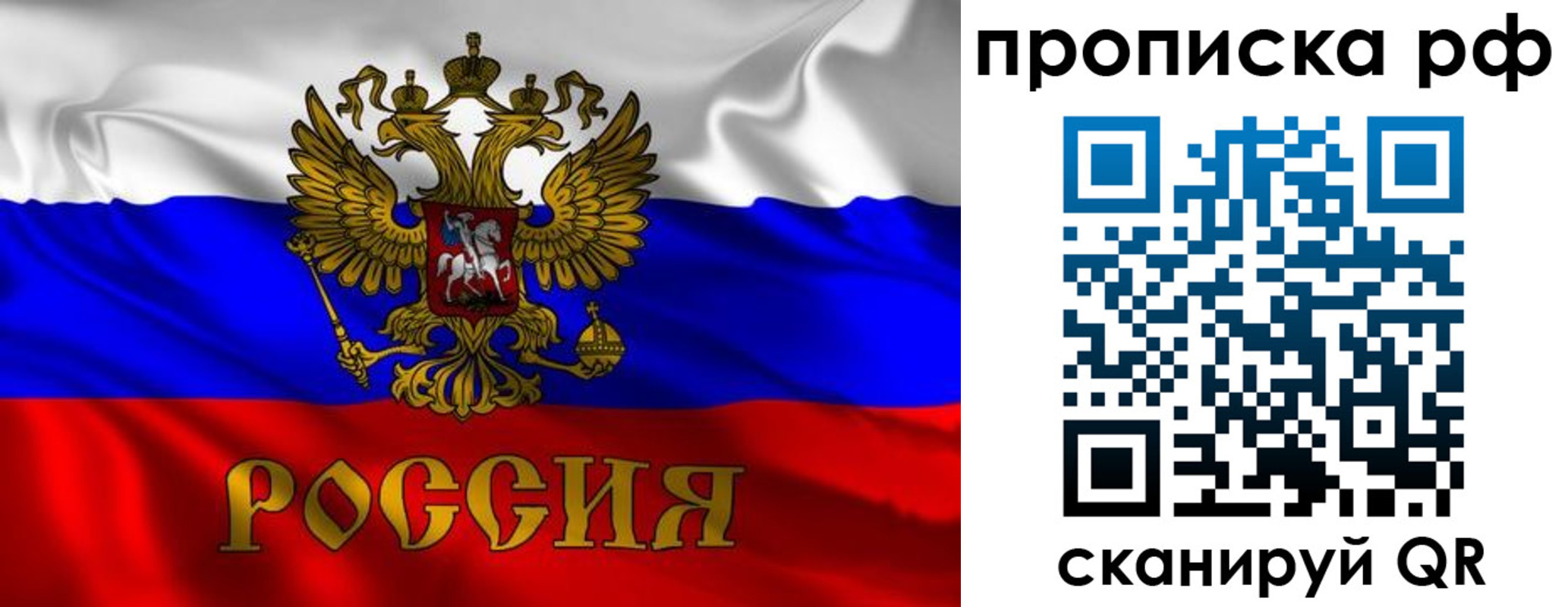 прописка 2025 в Плавске